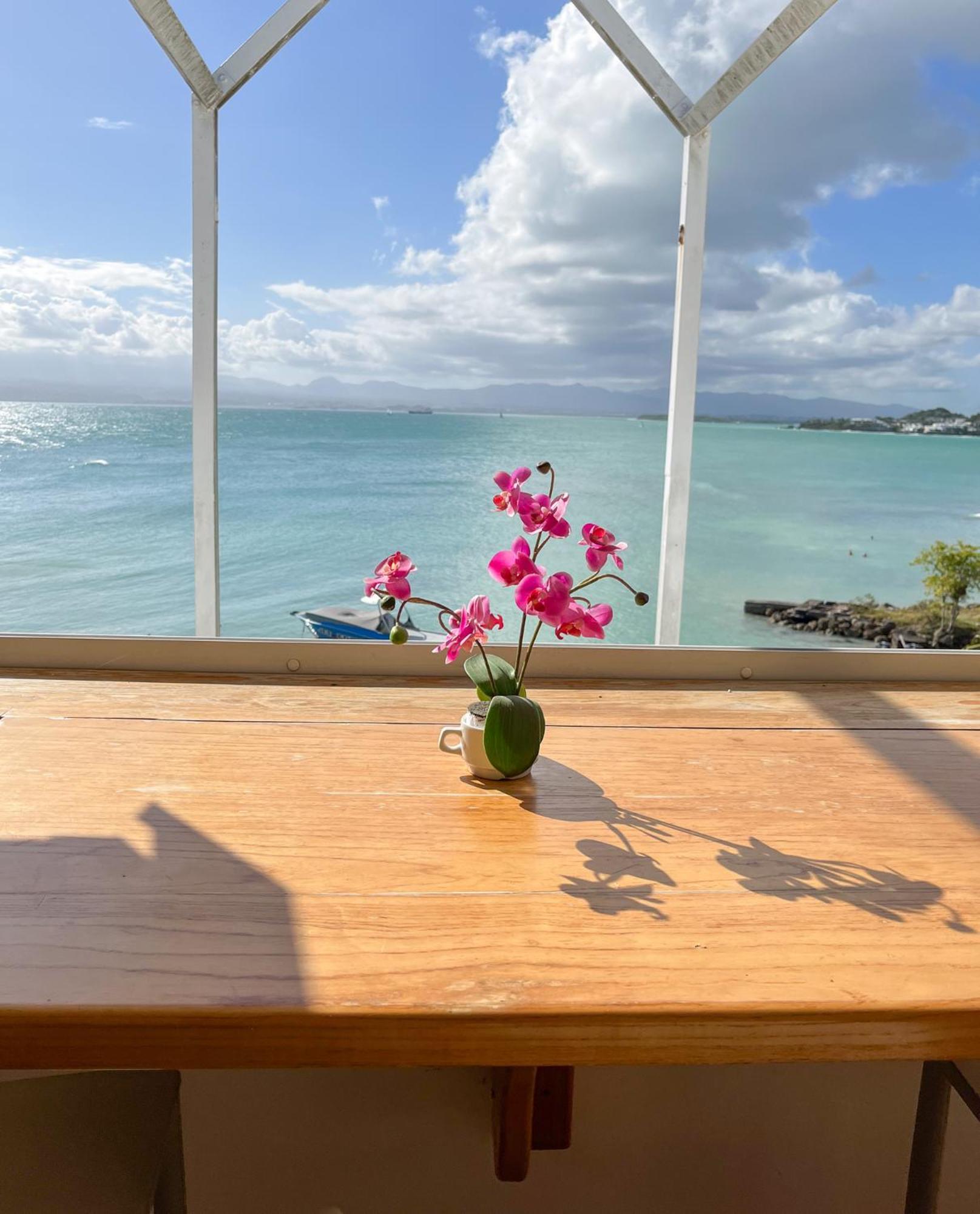 Appartement Les Yuccas, Vue Sur La Mer Et Les Montagnes Le Gosier  Εξωτερικό φωτογραφία